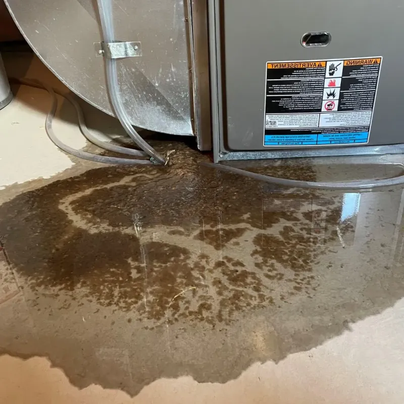 Pipe Burst and Leak Restoration in Pittston, ME